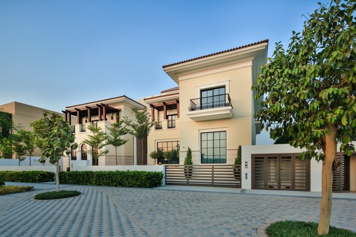 Mediterranean Show Mansion — photograph 6